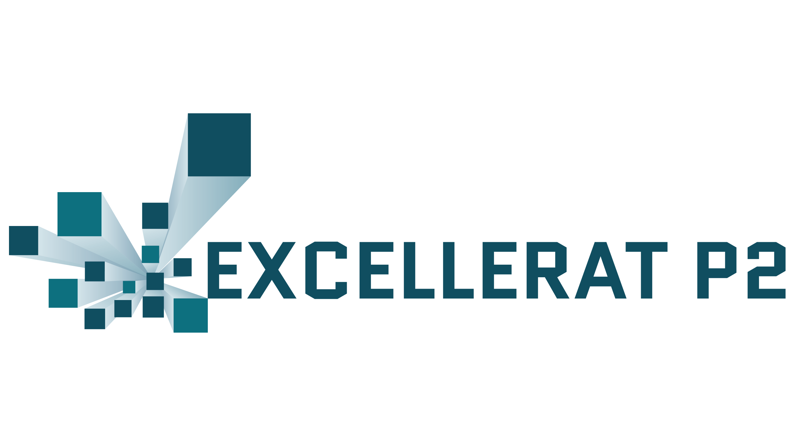 Logo EXCELLERAT P2