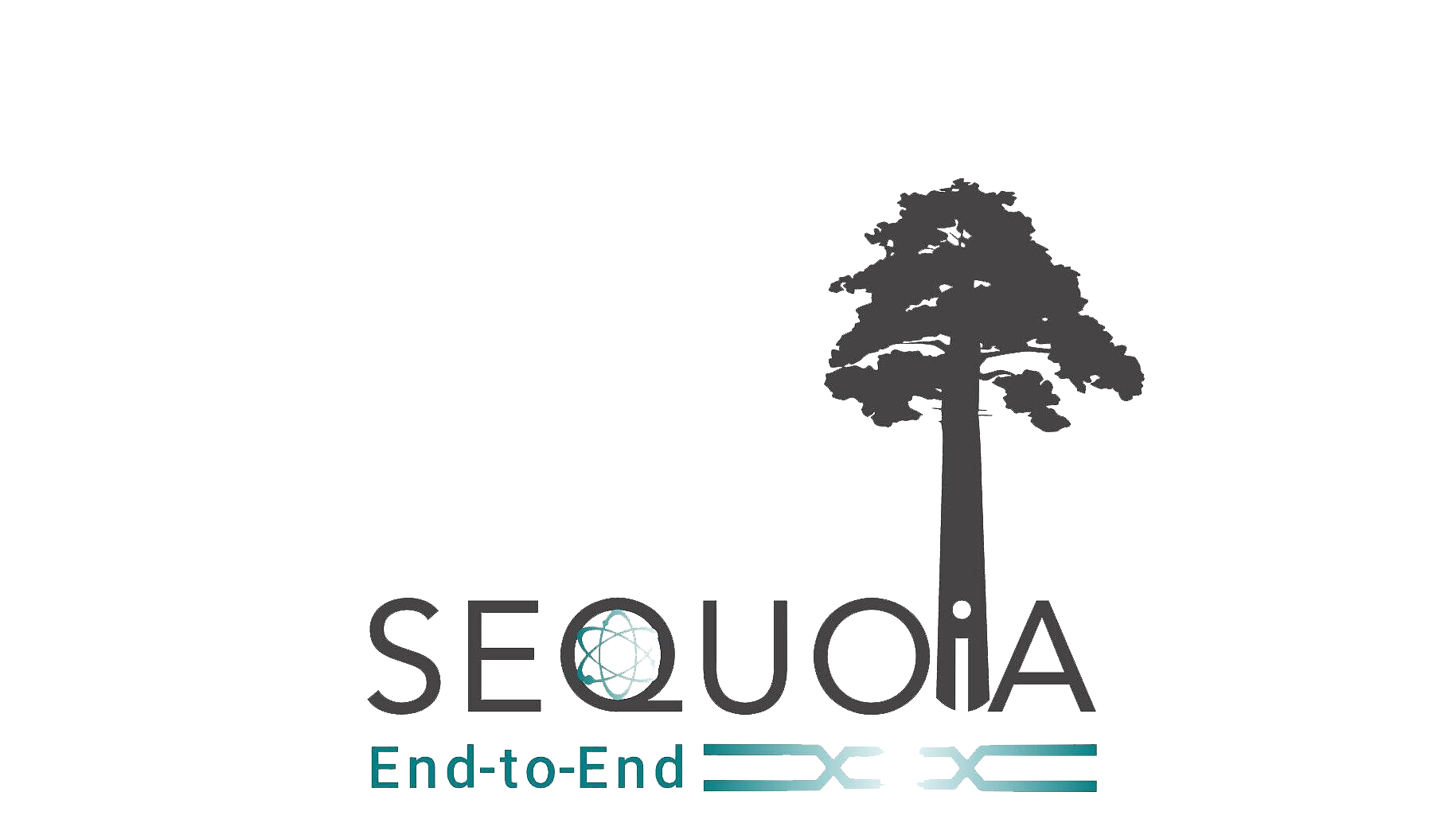Logo SEQUOIA End-to-End