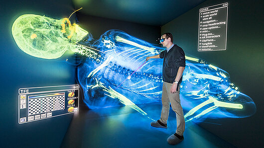 Virtual reality projection in the CAVE of human torso for forensic examination.