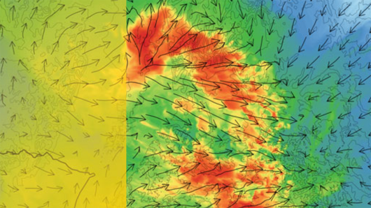 Scientific Illustration