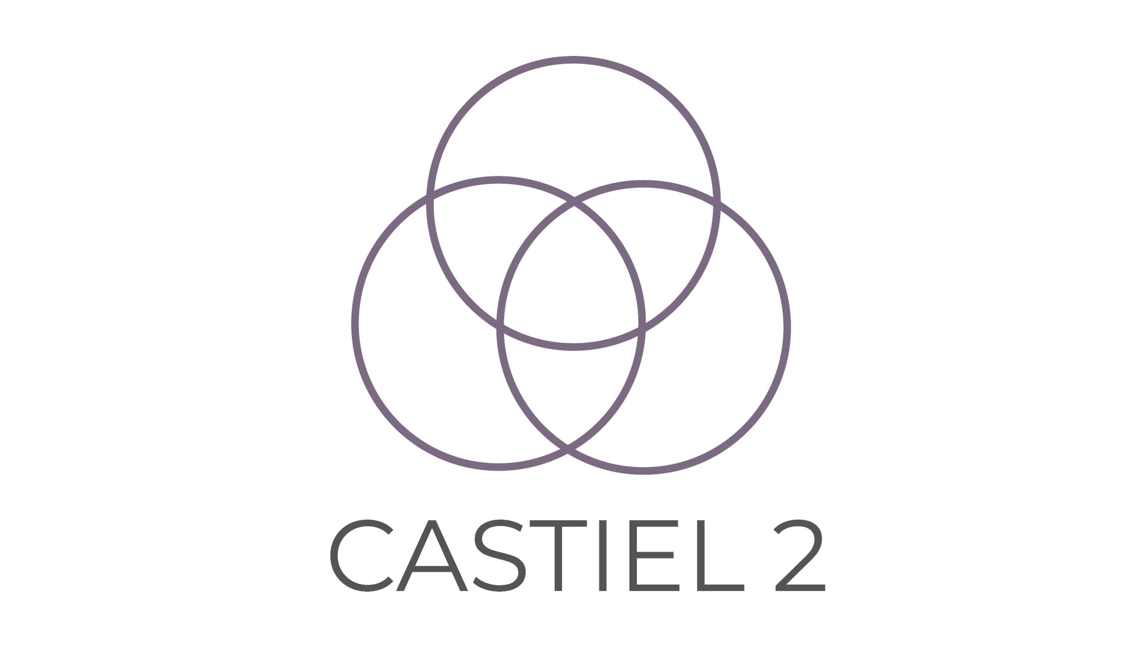 Logo for CASTIEL 2