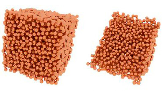 Scientific illustration.