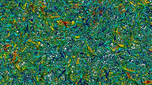 Visualization of particle simulation.