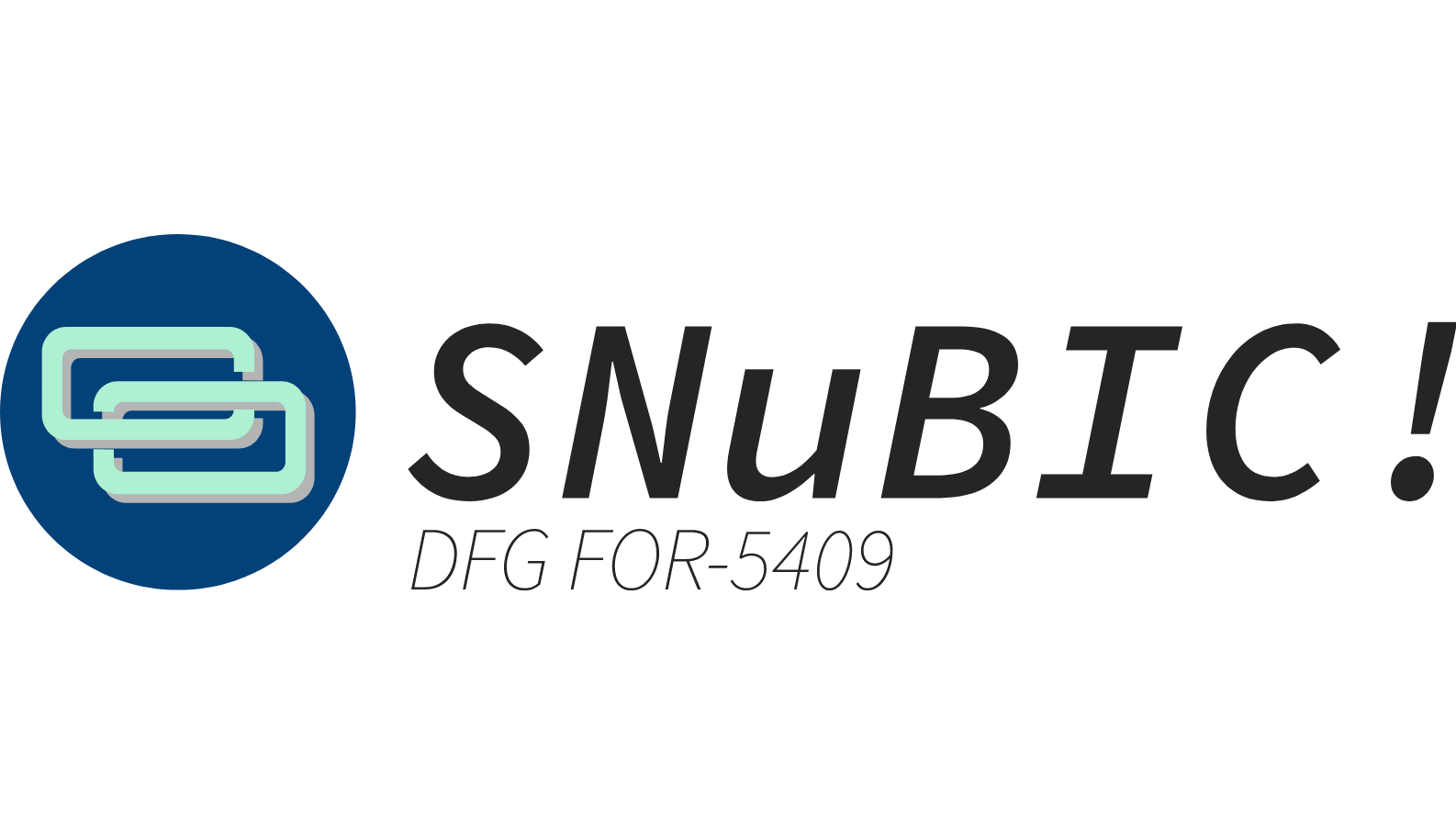 SNuBIC project logo
