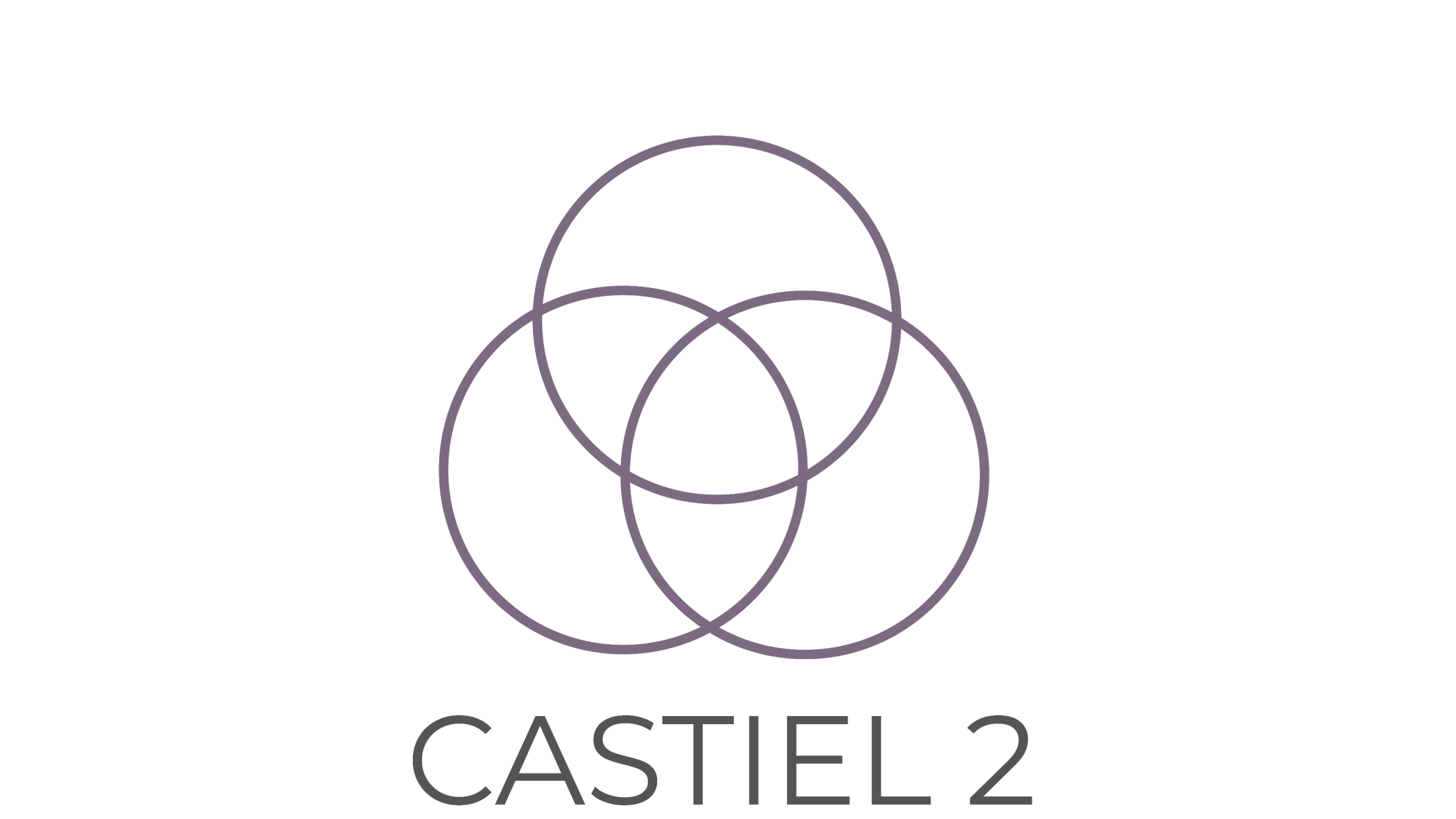 Logo CASTIEL 2