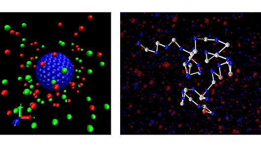 Illustration of snapshots of a nanocolloid (left) and polyelectrolyte (right) in electrolyte solution. 