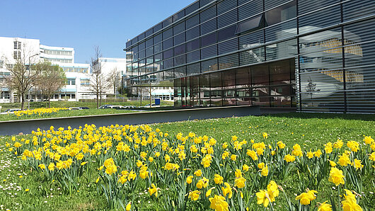 Flowers grow on the grounds of HLRS