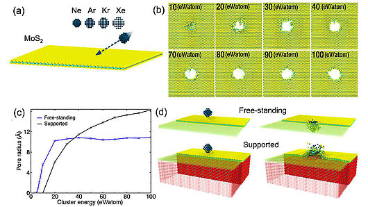 Four figures based on studies of MoS2
