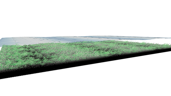 A visualization of a scalar contamination emerging from the sediment bed.